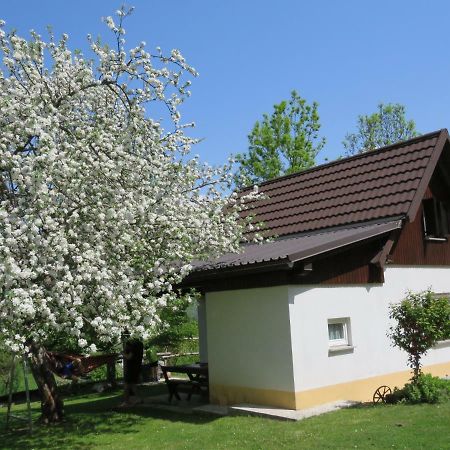 Villa Pocitniska Hiska Jager Cezsoca Exterior foto